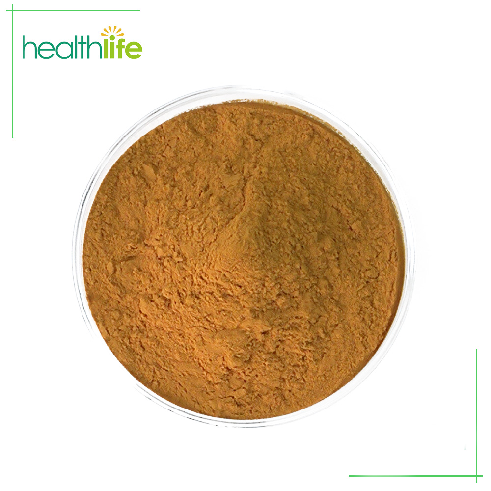 Hericium Erinaceus Extract Lion's Mane Extract Powder Buy Hericium